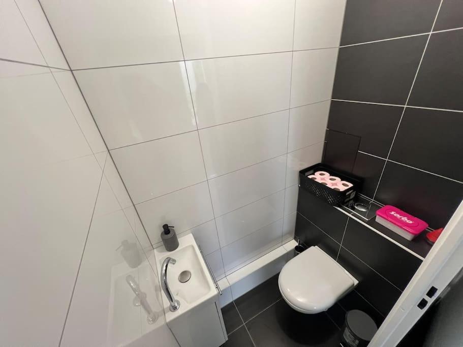 Cerf Berr Apartment Strasbourg Bagian luar foto